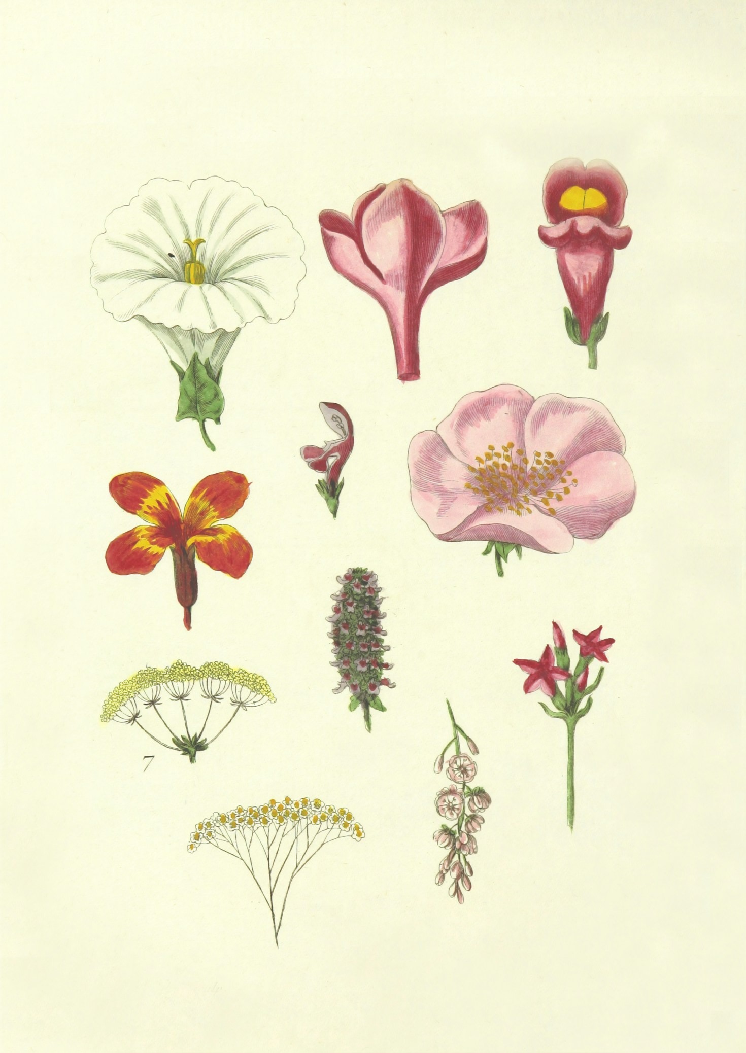 The Evolution of Art in Dunlap’s Portfolio